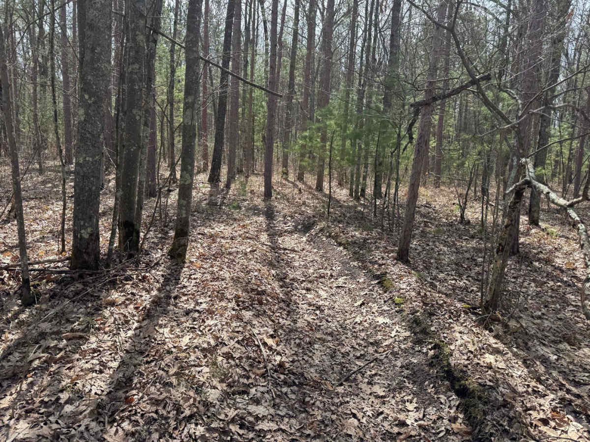 Grand Traverse West Spur photo 2