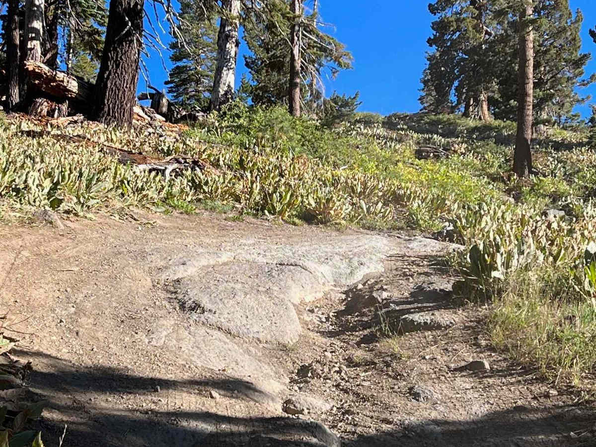 Eagle Peak 4x4 Trail photo 3