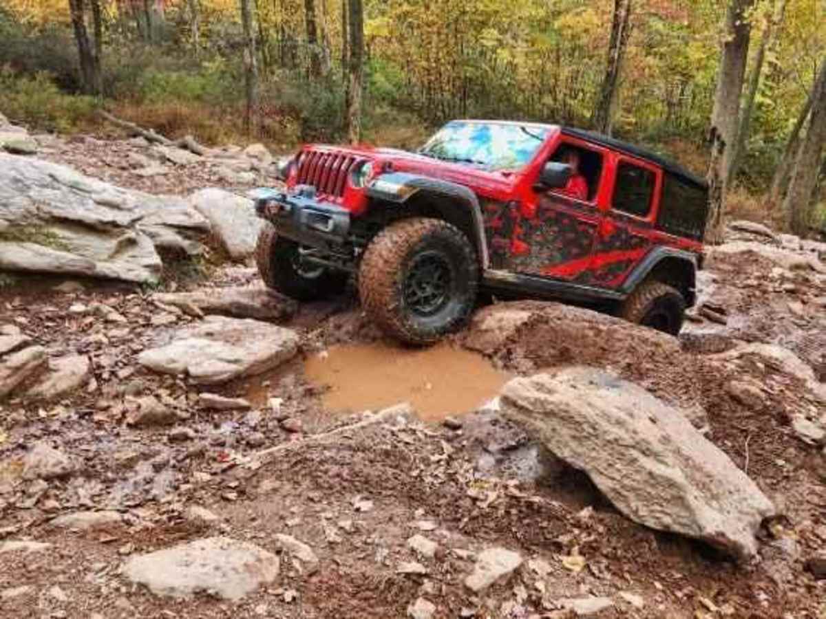 Crawl Daddy Red photo 2