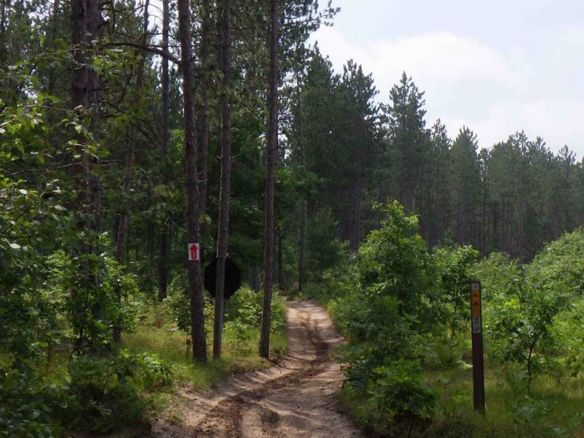 Fredrick ORV West photo 6