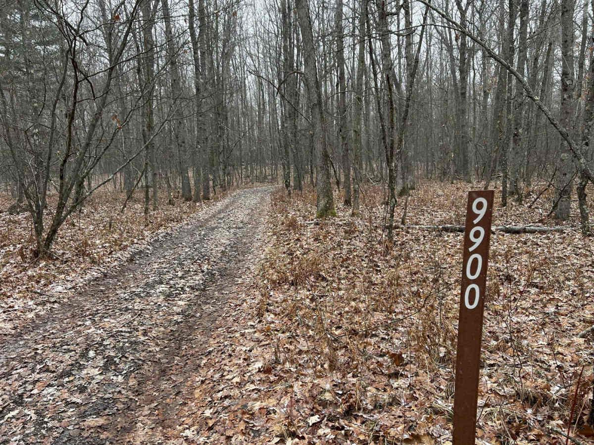 NFS 9900 trail photo