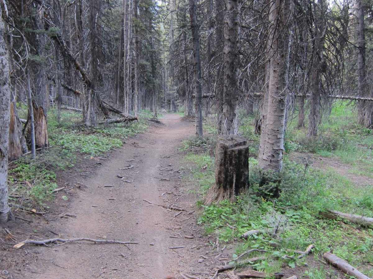 Hogsback Ridge photo 4