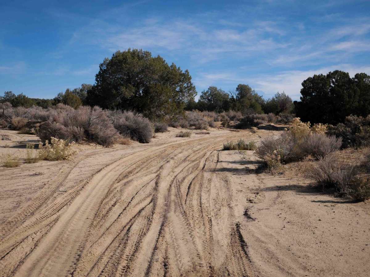 ATV Loop photo 3