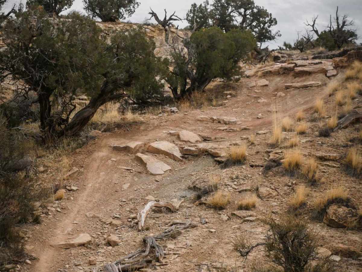 Trail 3 photo 4