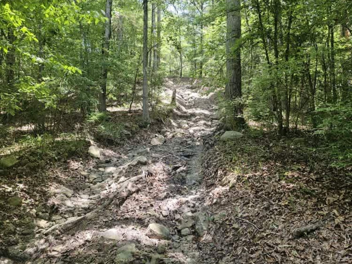 East Creek photo 6