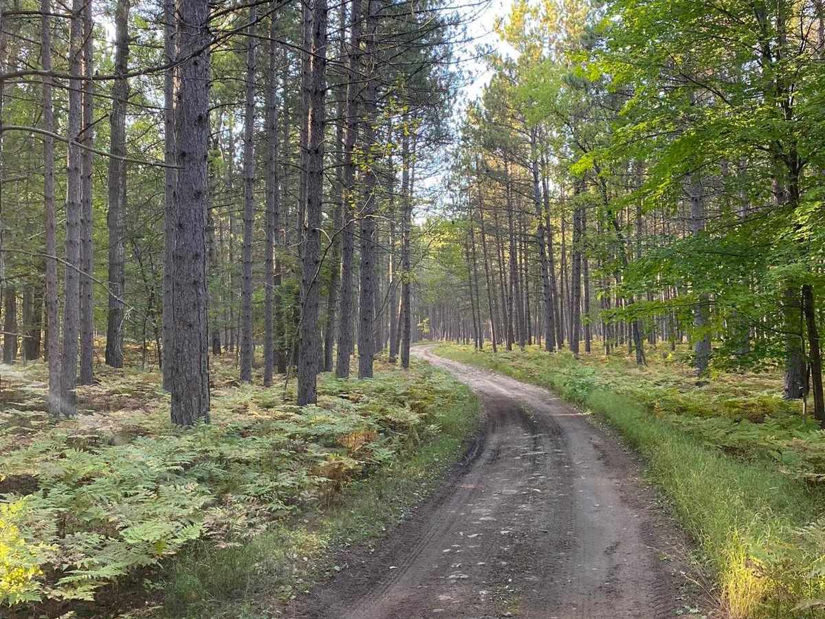 Murphy CR to 35.5 Road - Part 8 photo 6