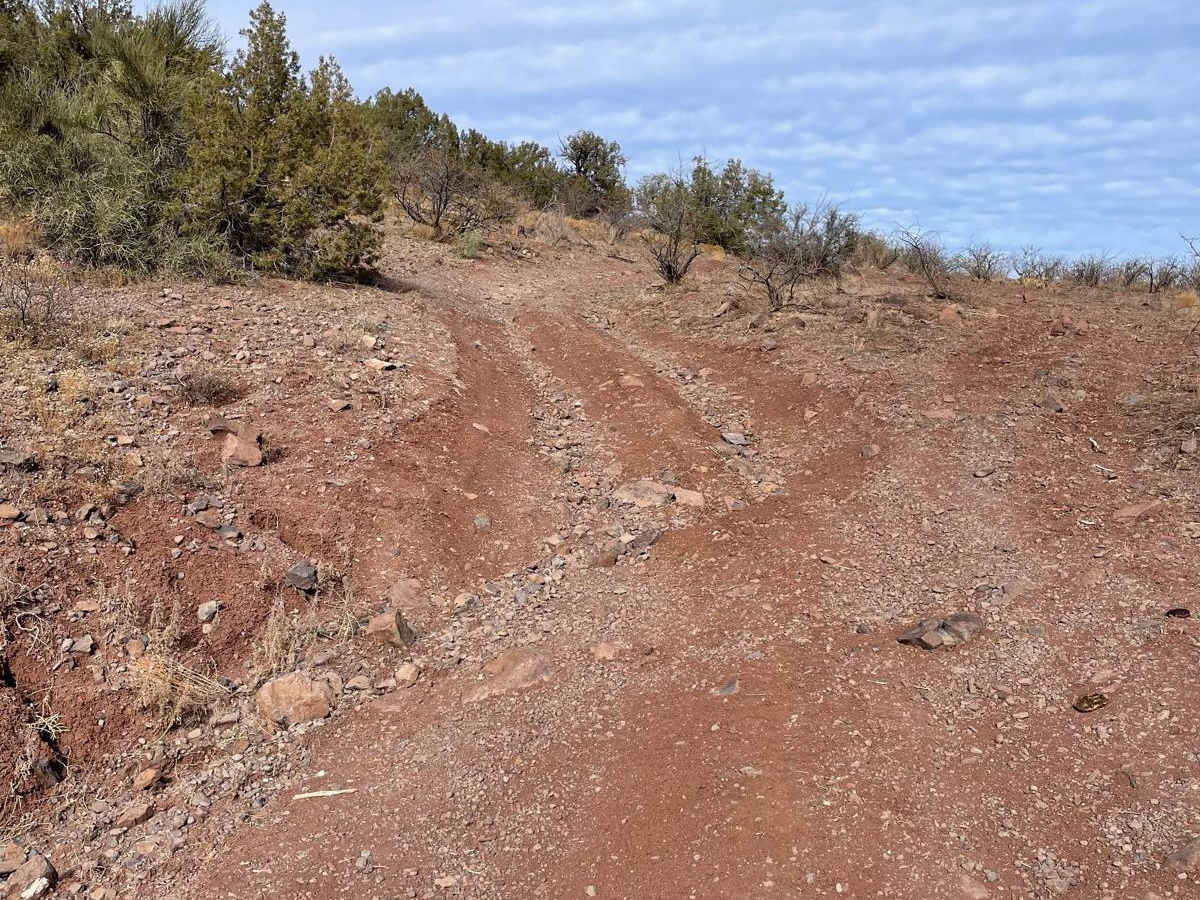 FS 9201M trail photo