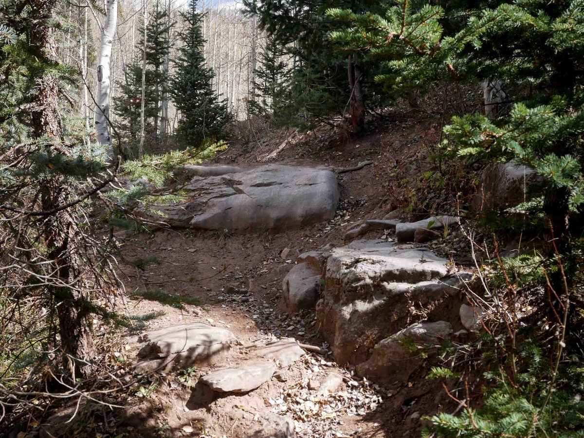 Dutch Creek photo 5