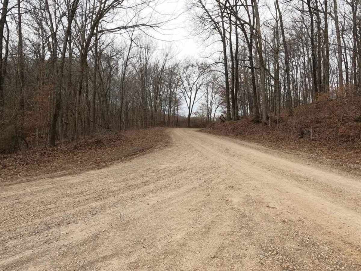 Goose Pond Hills Road photo 4