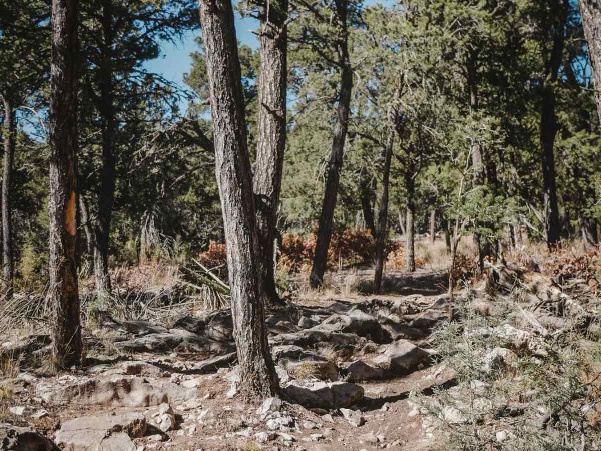 West Boundary photo 4