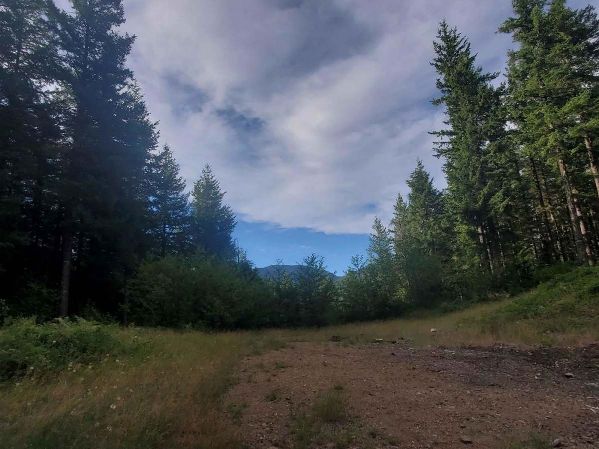 Deep Woods Brap Adventure photo 4