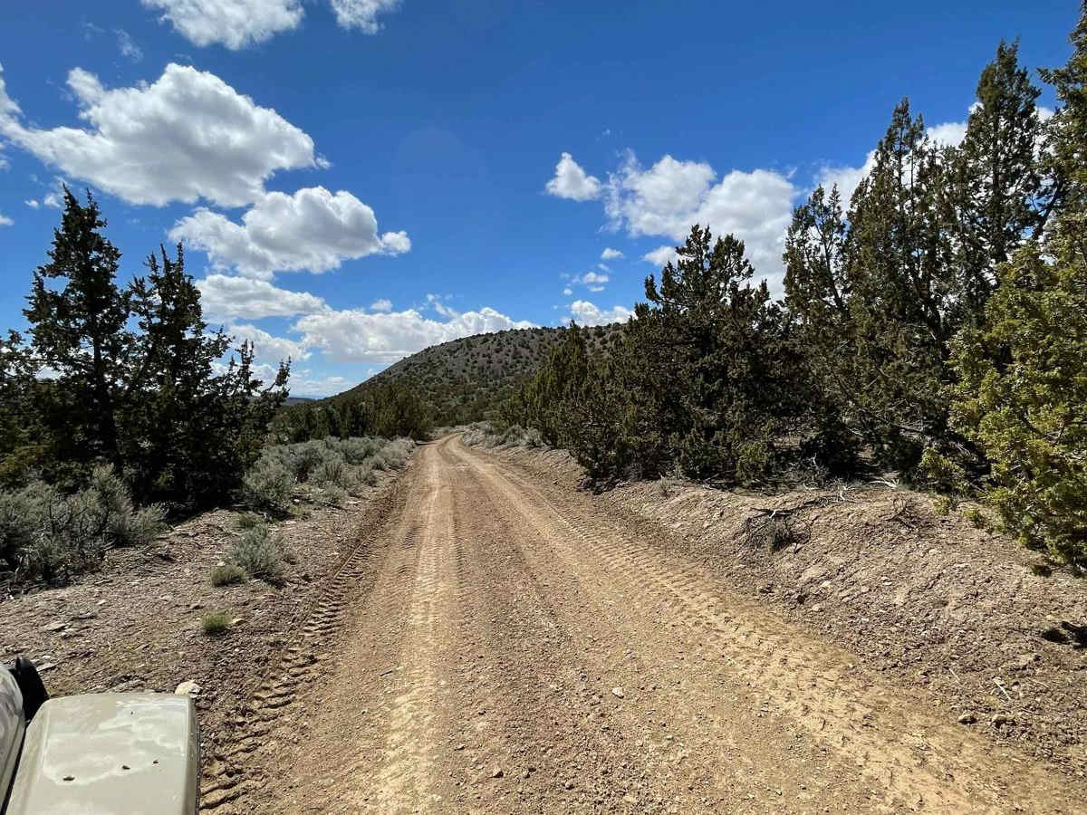 Spaulding Canyon Trail photo 2