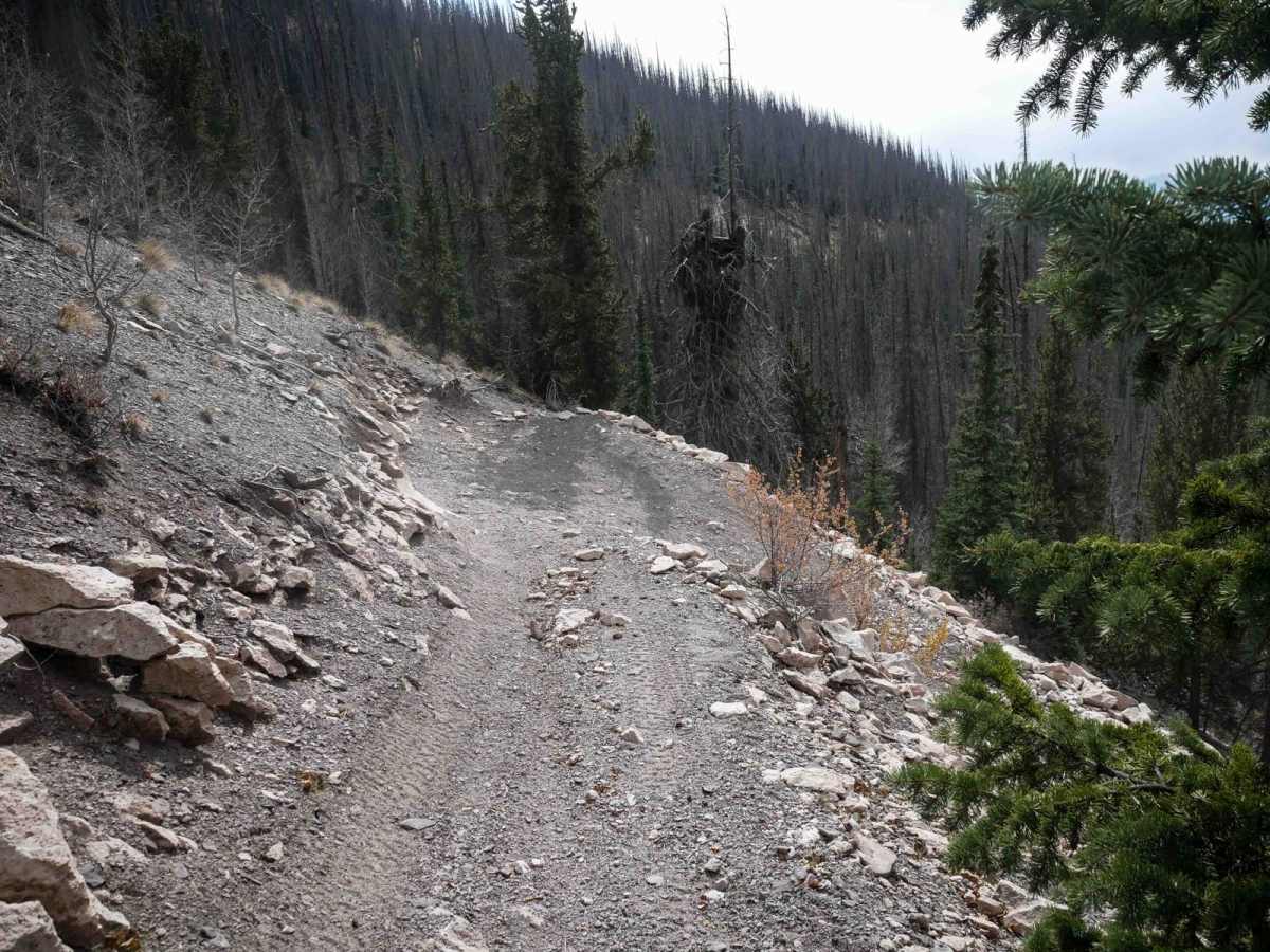 West Alder ATV 798  trail photo