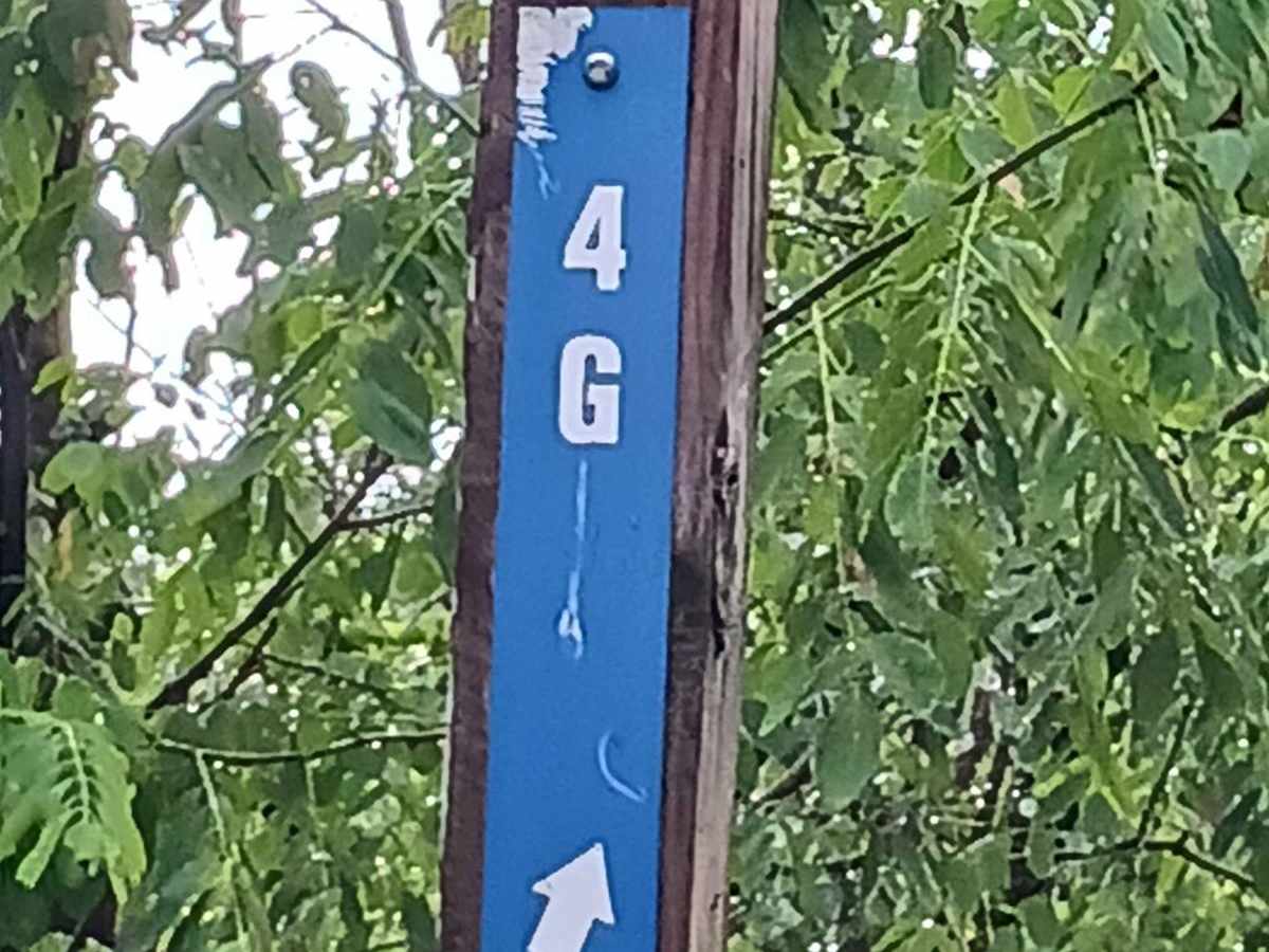 Trail 4G - Rock Run Recreation Area trail photo