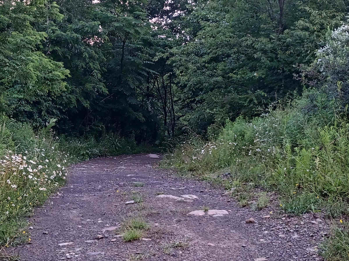 Trail 12J - Rock Run Recreation Area photo 3