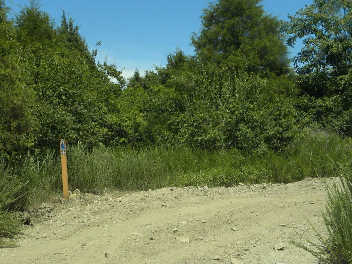 6A &6B loop trail photo