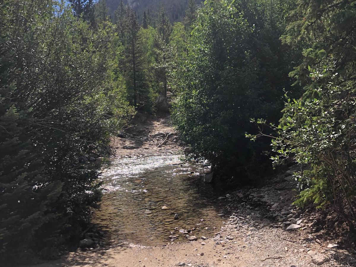 Clohesy Lake photo 3