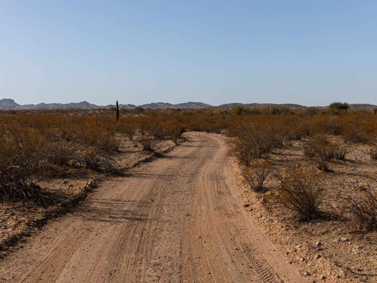 Rampleys Trail trail photo