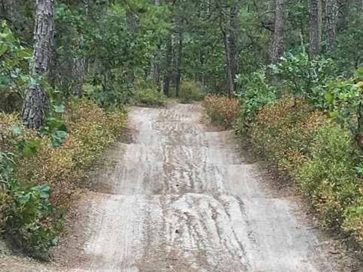 Stokes Trail photo 5
