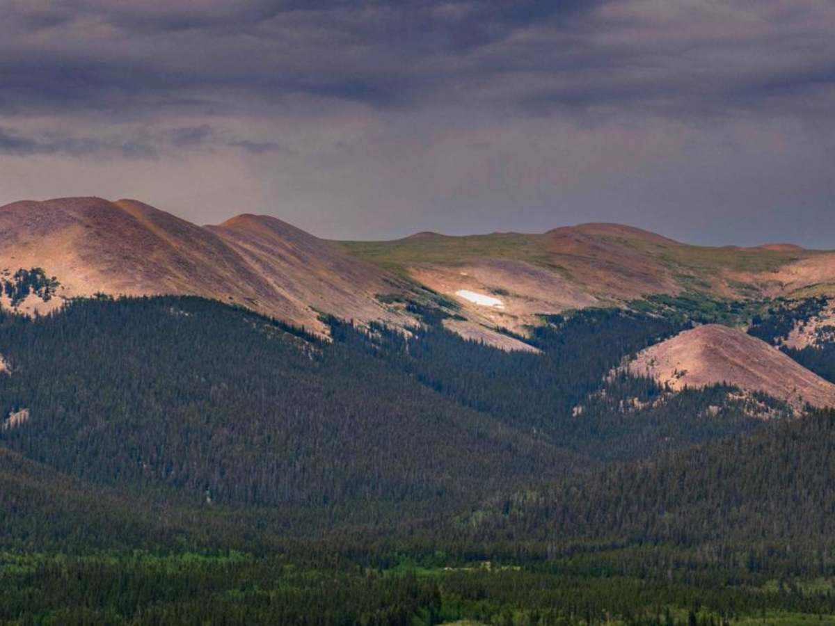 Forest Road 801 photo 5
