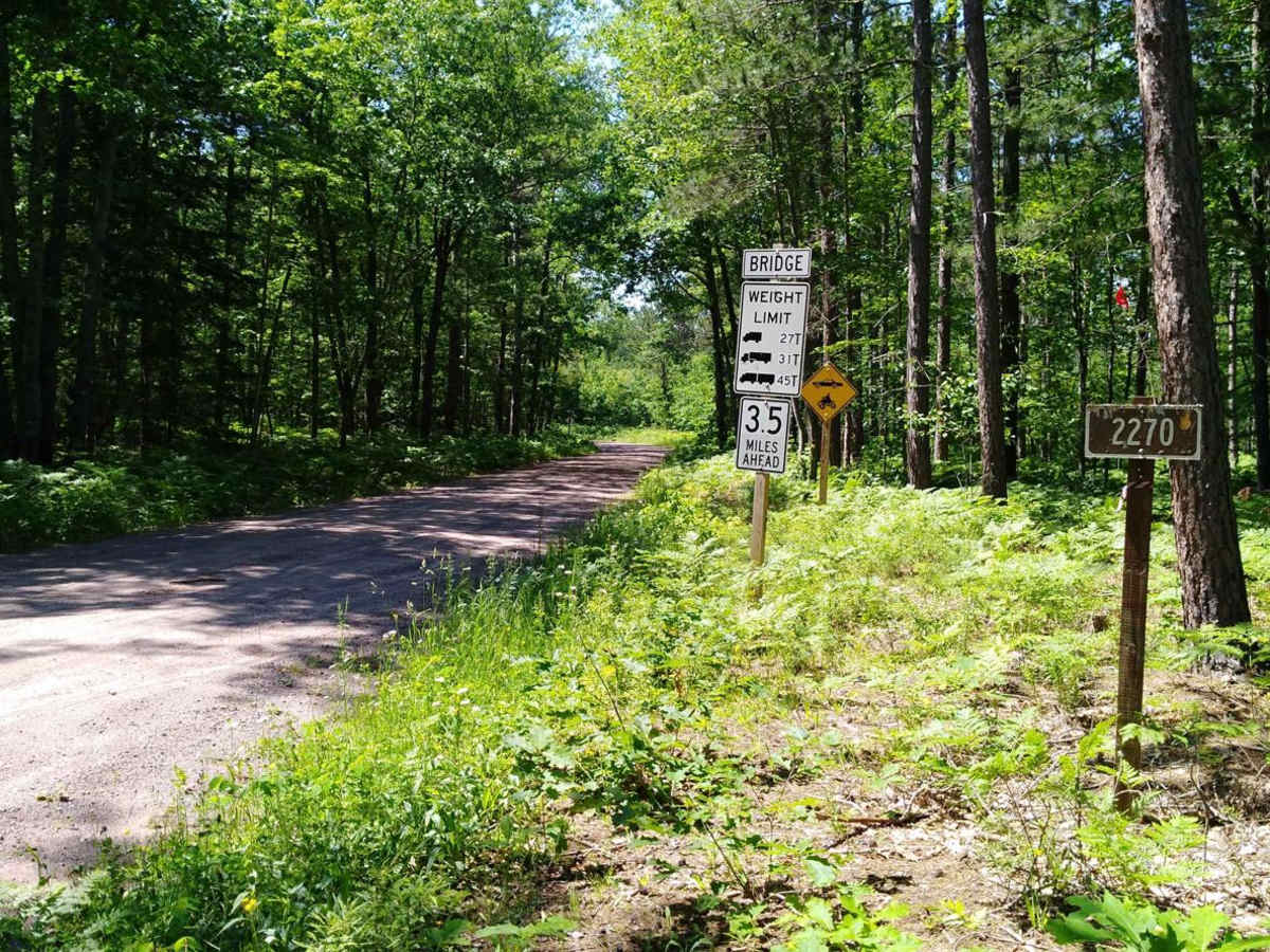 FDR 2270 trail photo