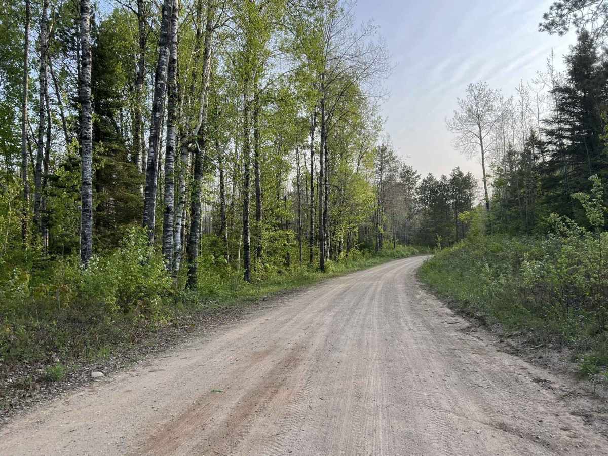 Browns Lake Road photo 3