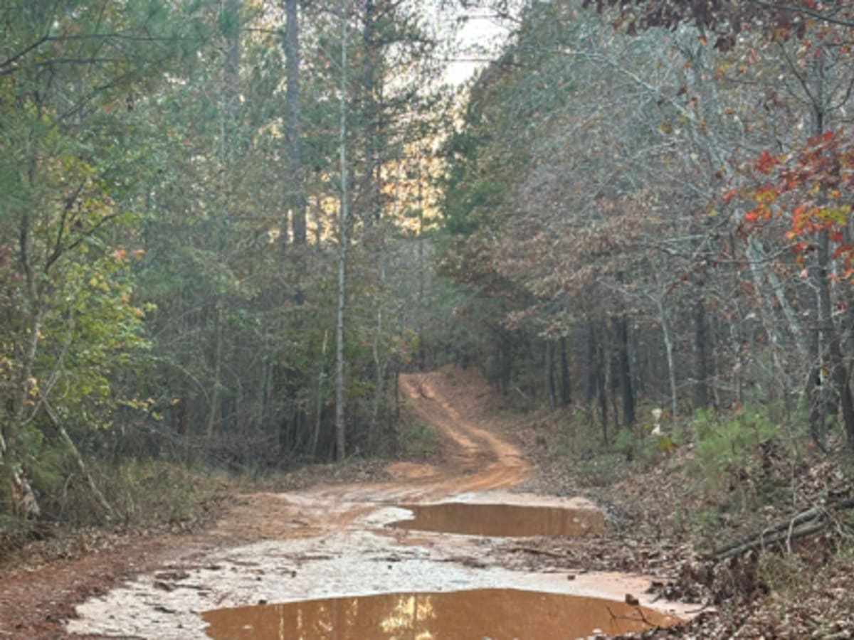 28 trail photo