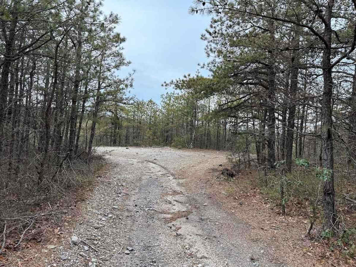 Burma 64 Part 1 trail photo