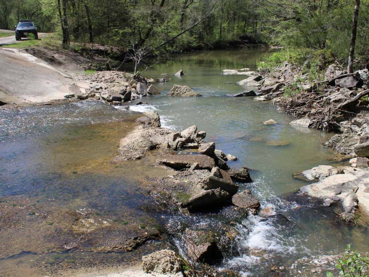 Spectacular View In Howard County WMA trail photo