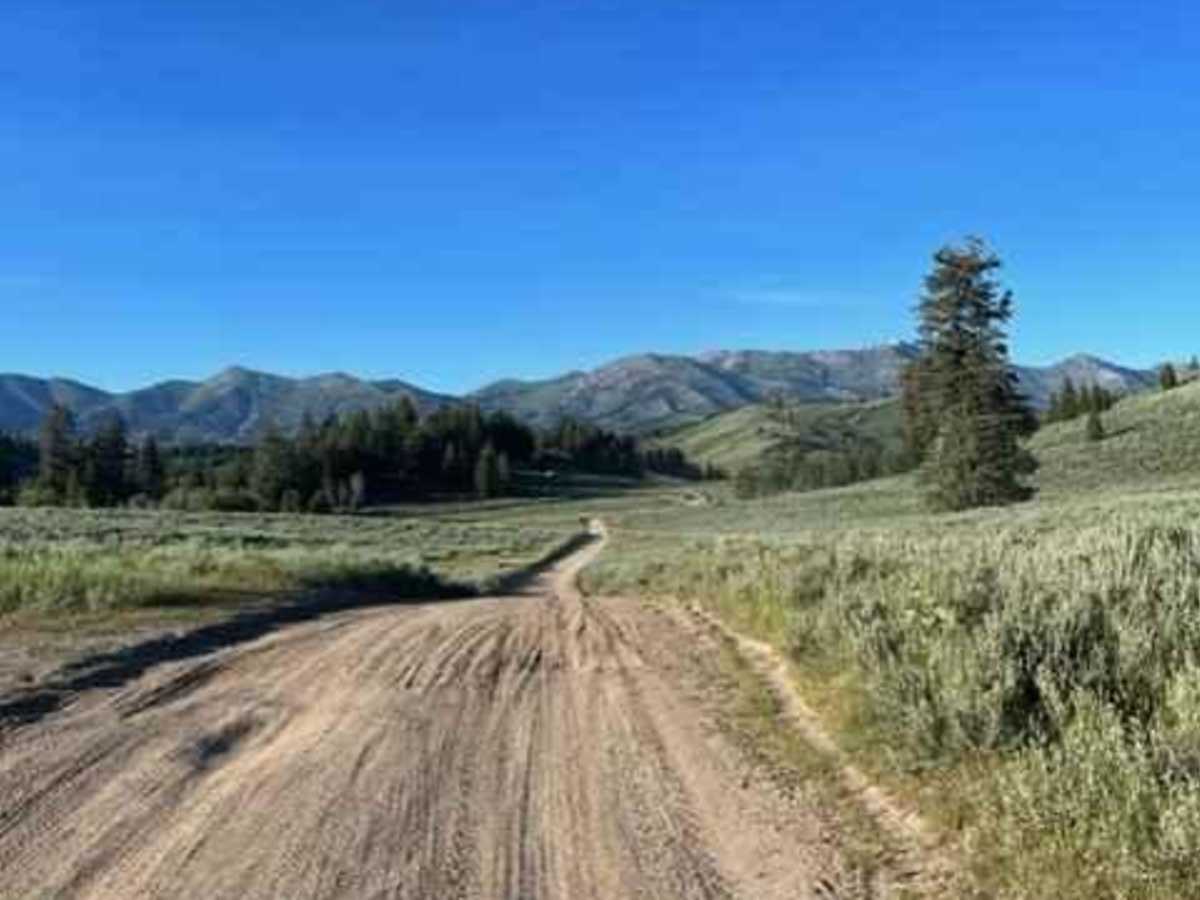 Ear Creek Road photo 5