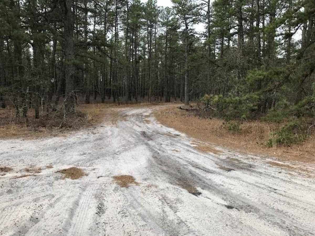 Eagle Trail photo 3
