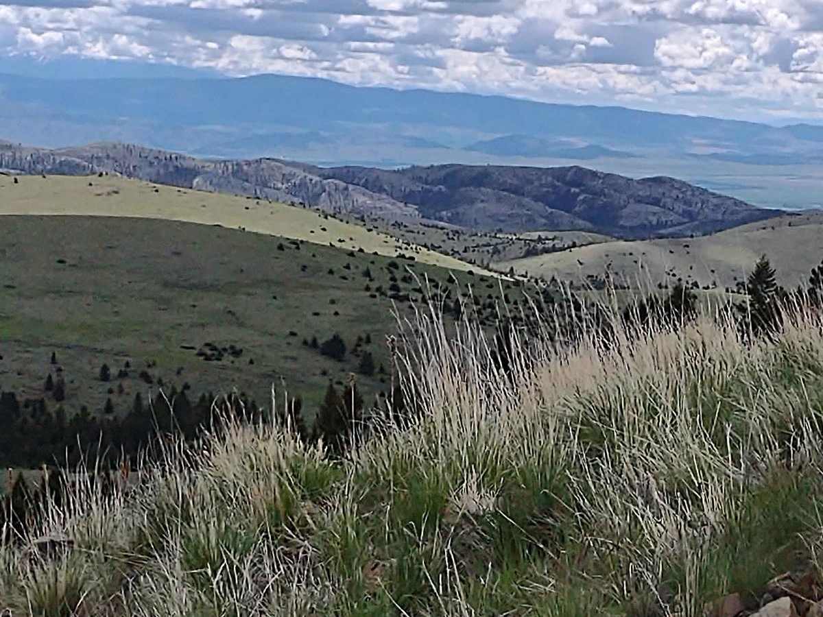 Cold Springs Road photo 2