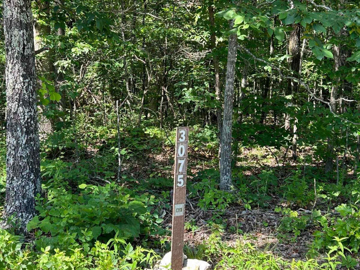 Kelly Ridge- FSR 3075 trail photo