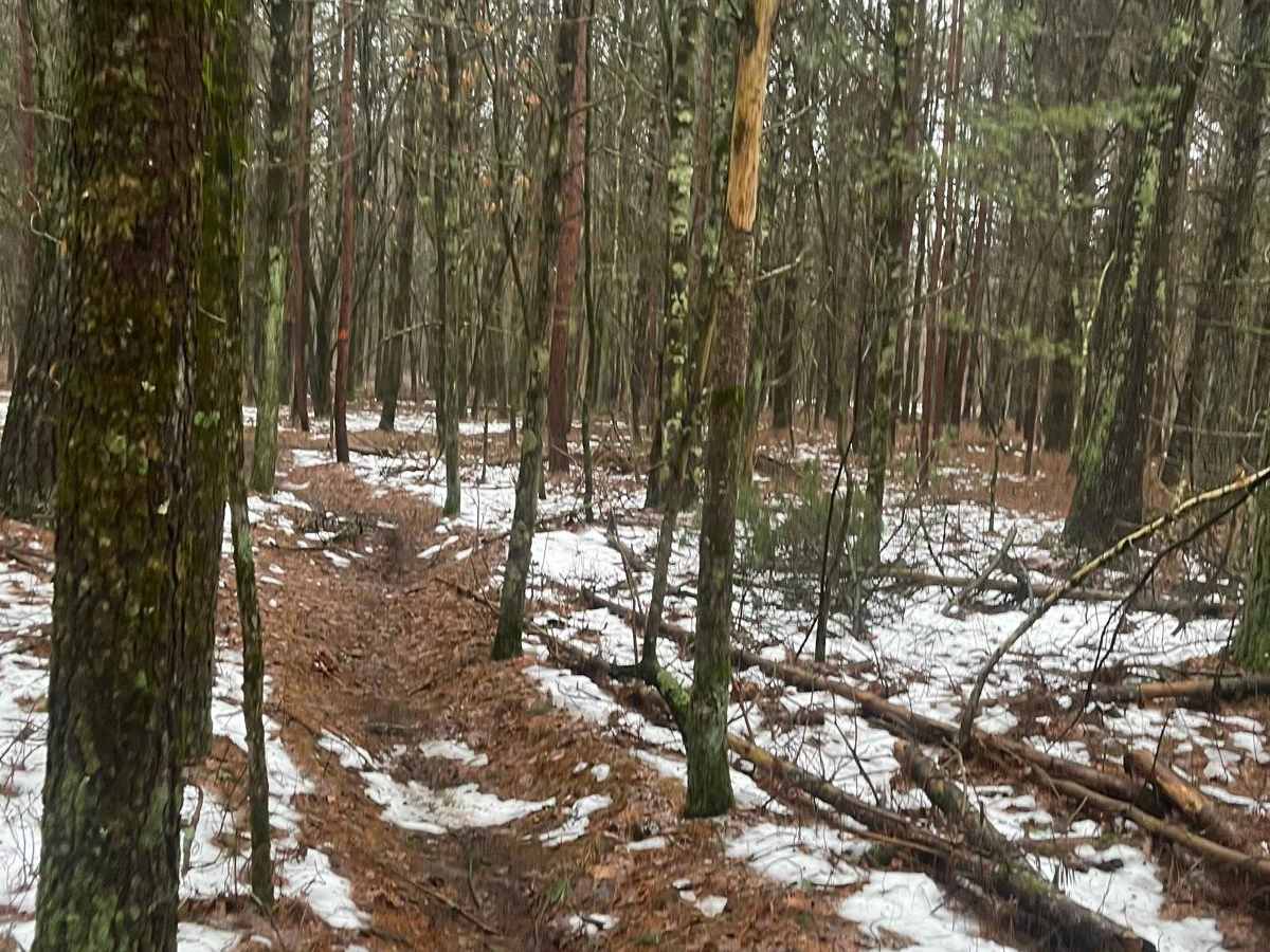Horseshoe Motorcycle Trail Part 3 photo 3