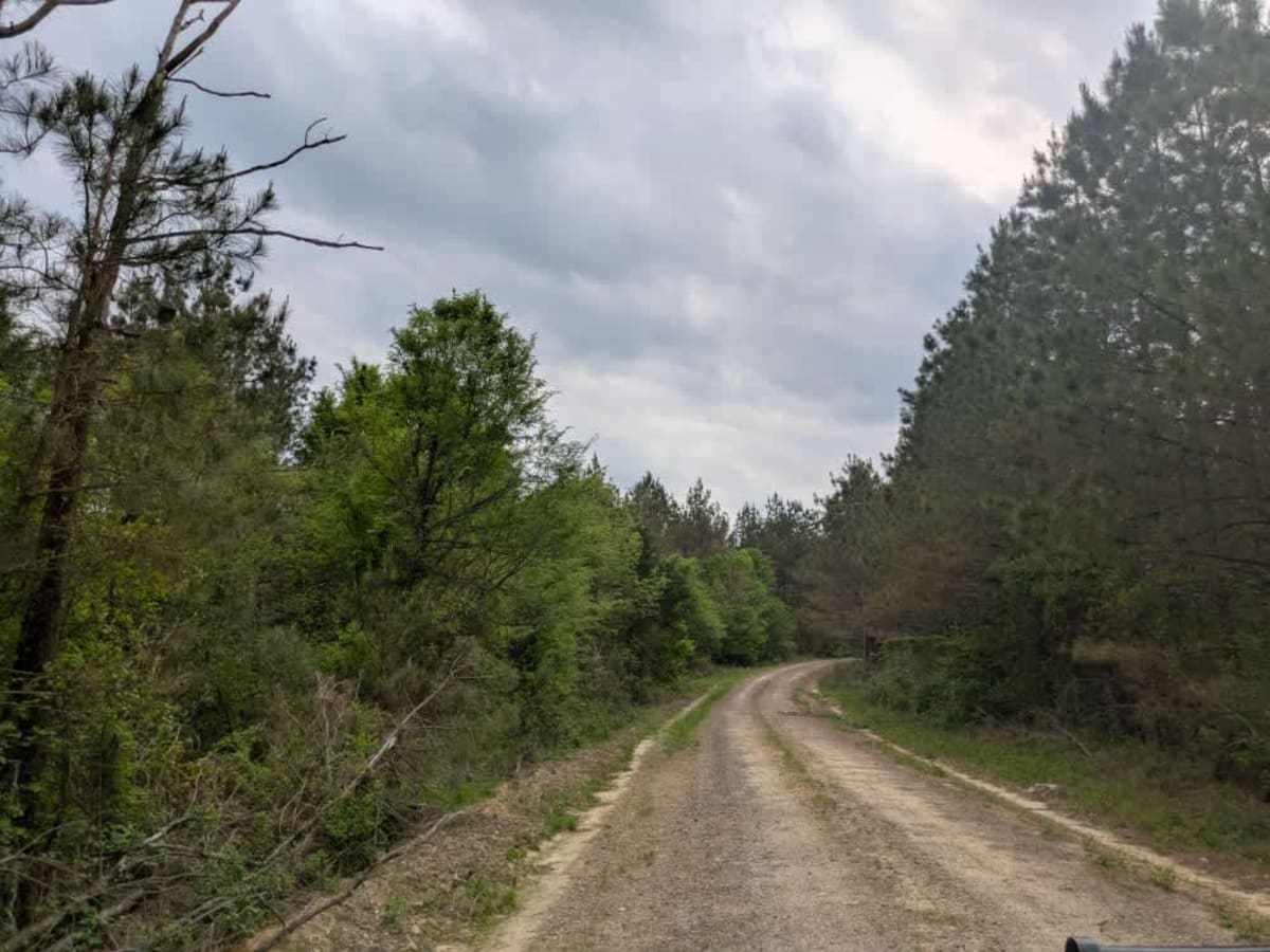 313 Road photo 6