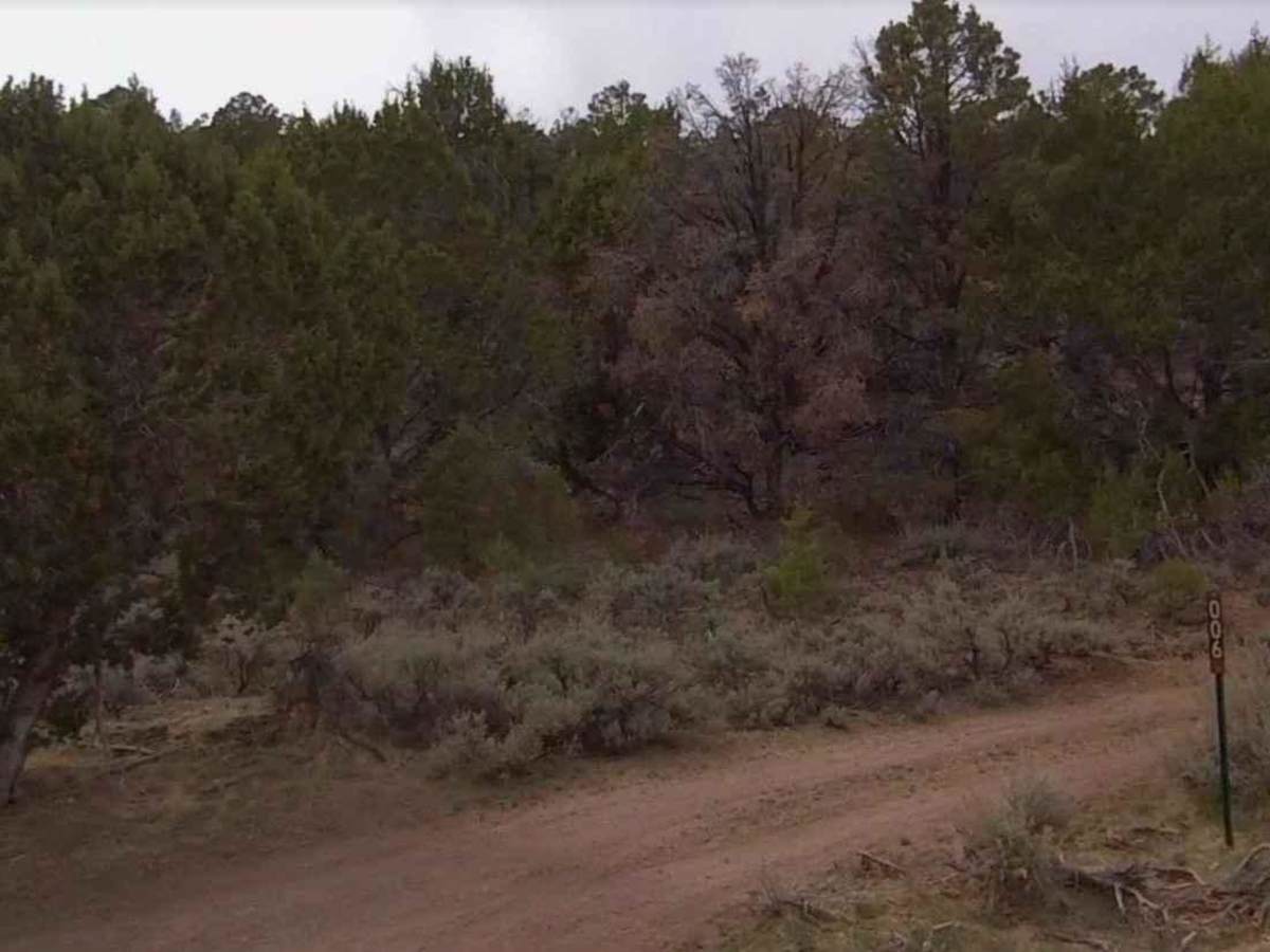 Dixie National Forest-FR31006 photo 2