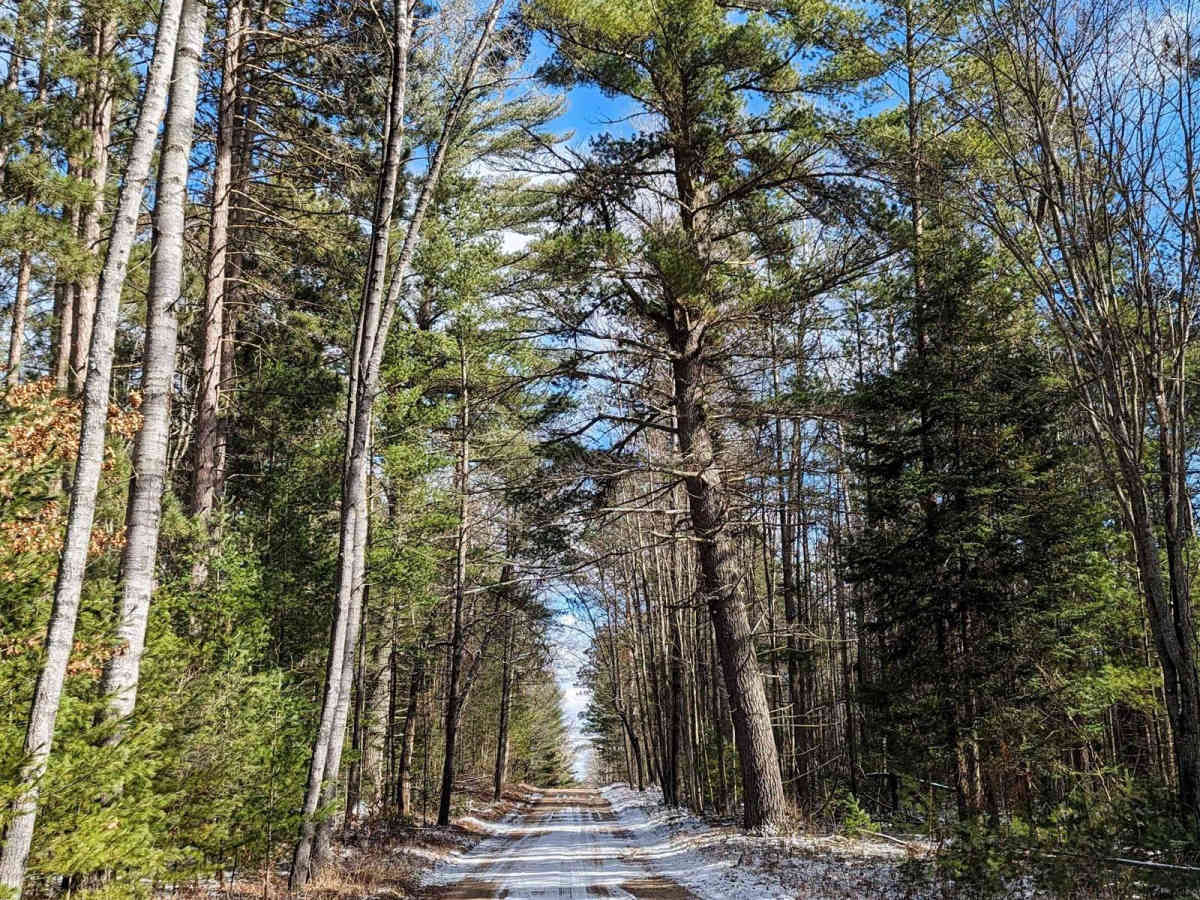 Gilford Ranch Trail photo 2