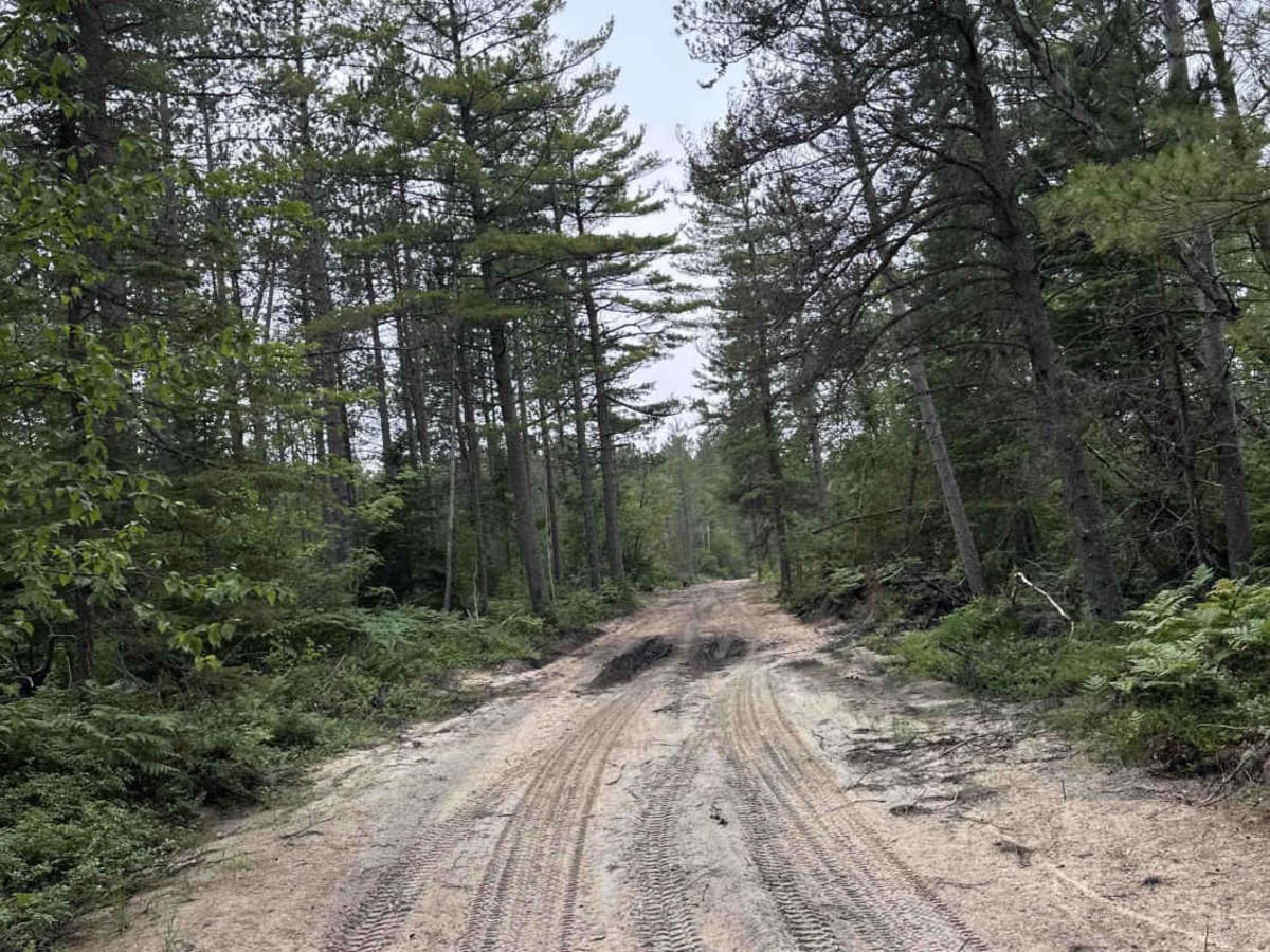 Whitefish Lake Superior  photo 2