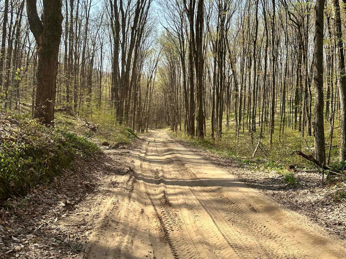 Cadillac Area ORV/OHV Scenic Ride - Part 10 trail photo