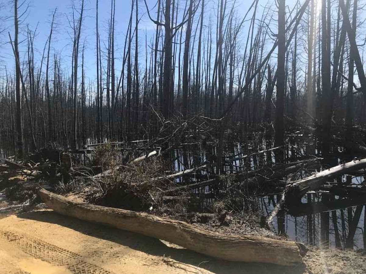 Glassworks Trail photo 3