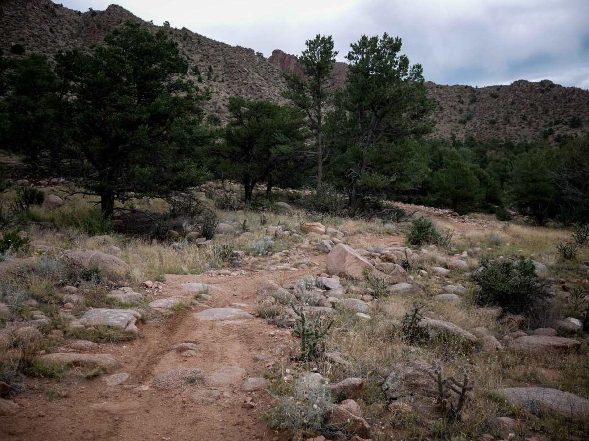6026 ATV trail photo