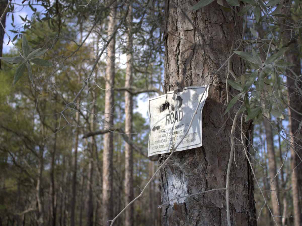 Citrus Wildlife Management | Trail 5 trail photo
