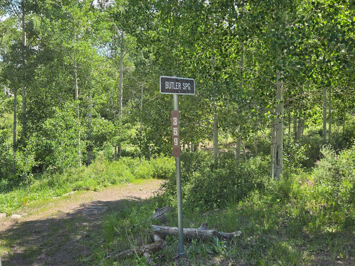 Butler Springs Trail - FS40359 trail photo