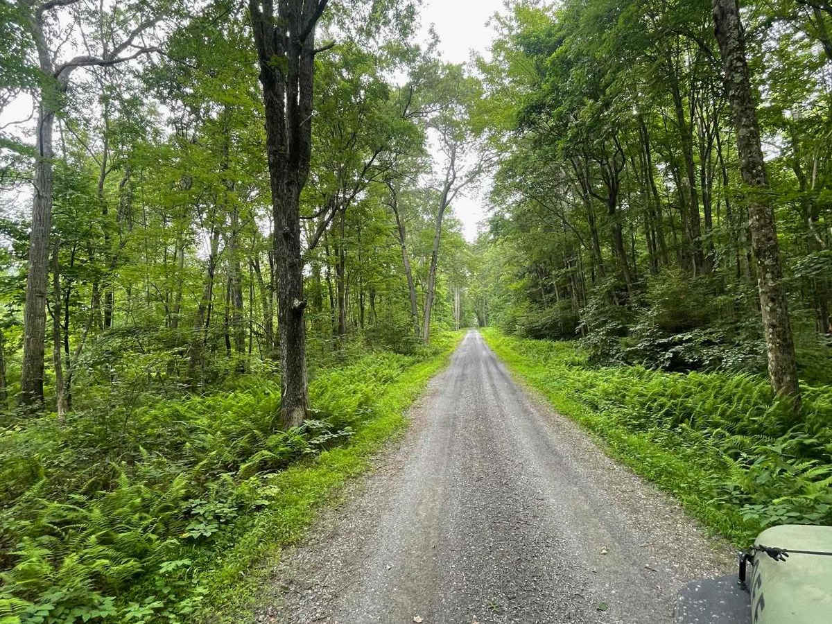 Pond Road photo 4