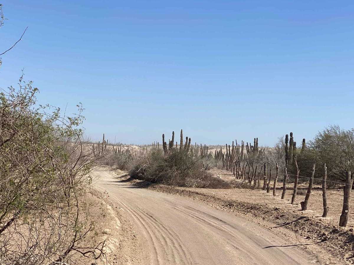 Santa Fe Ruta Playa photo 3