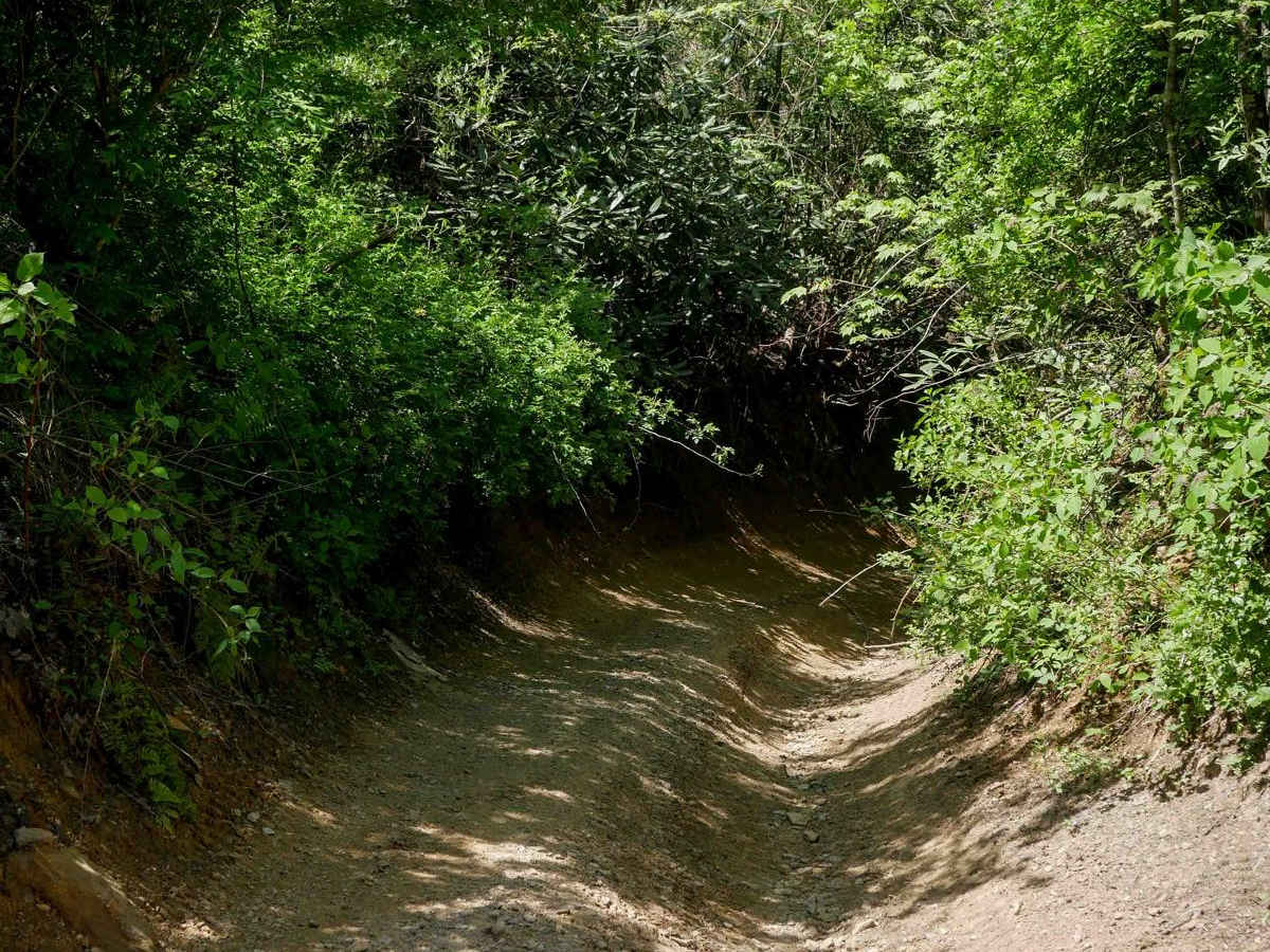 P80 trail photo