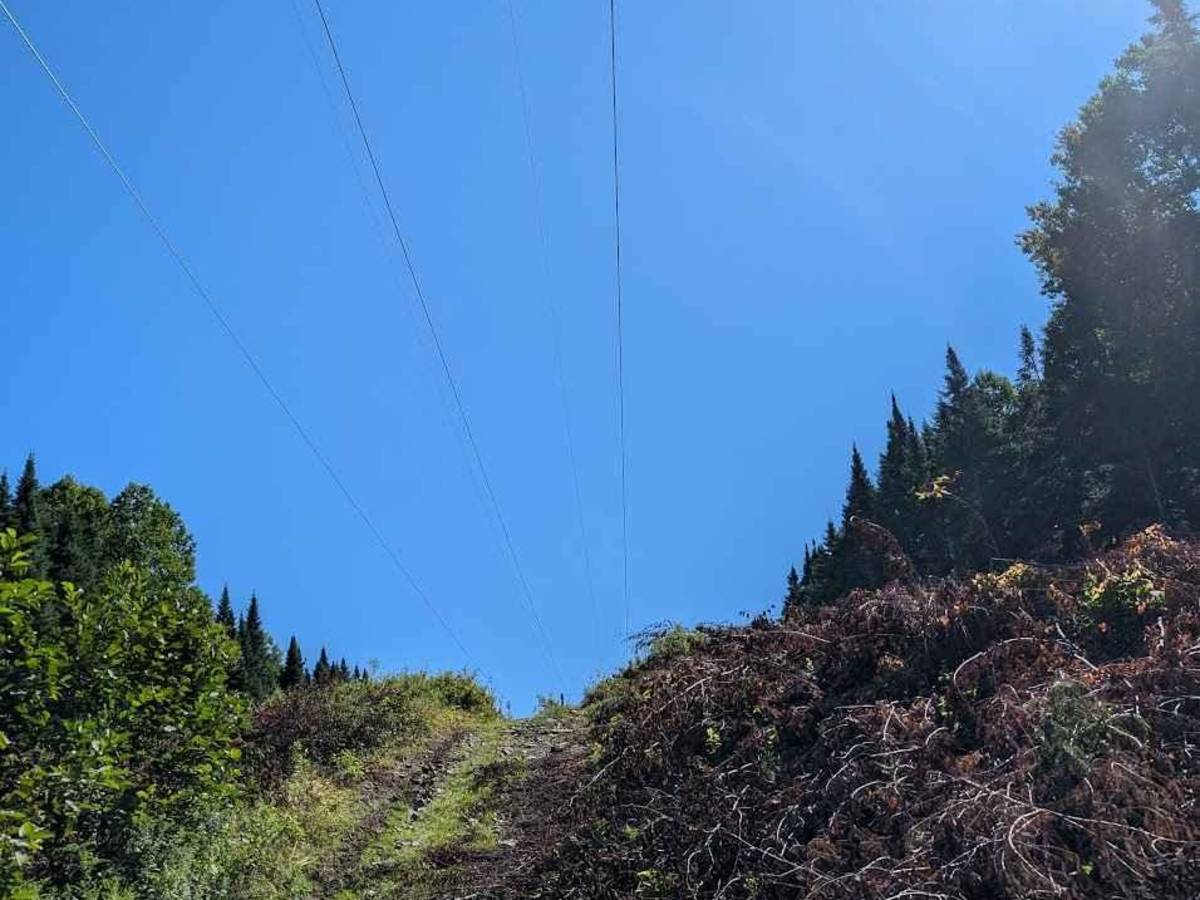 Old Springhill Loop photo 2