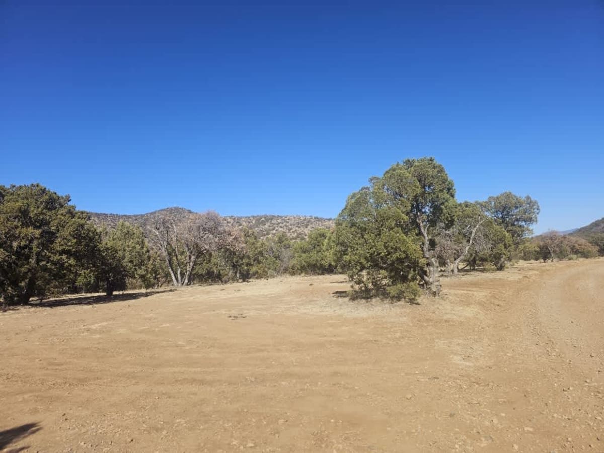 Flying R Ranch/Guajalote Flat Loop - FR 4695 - 4695A photo 3
