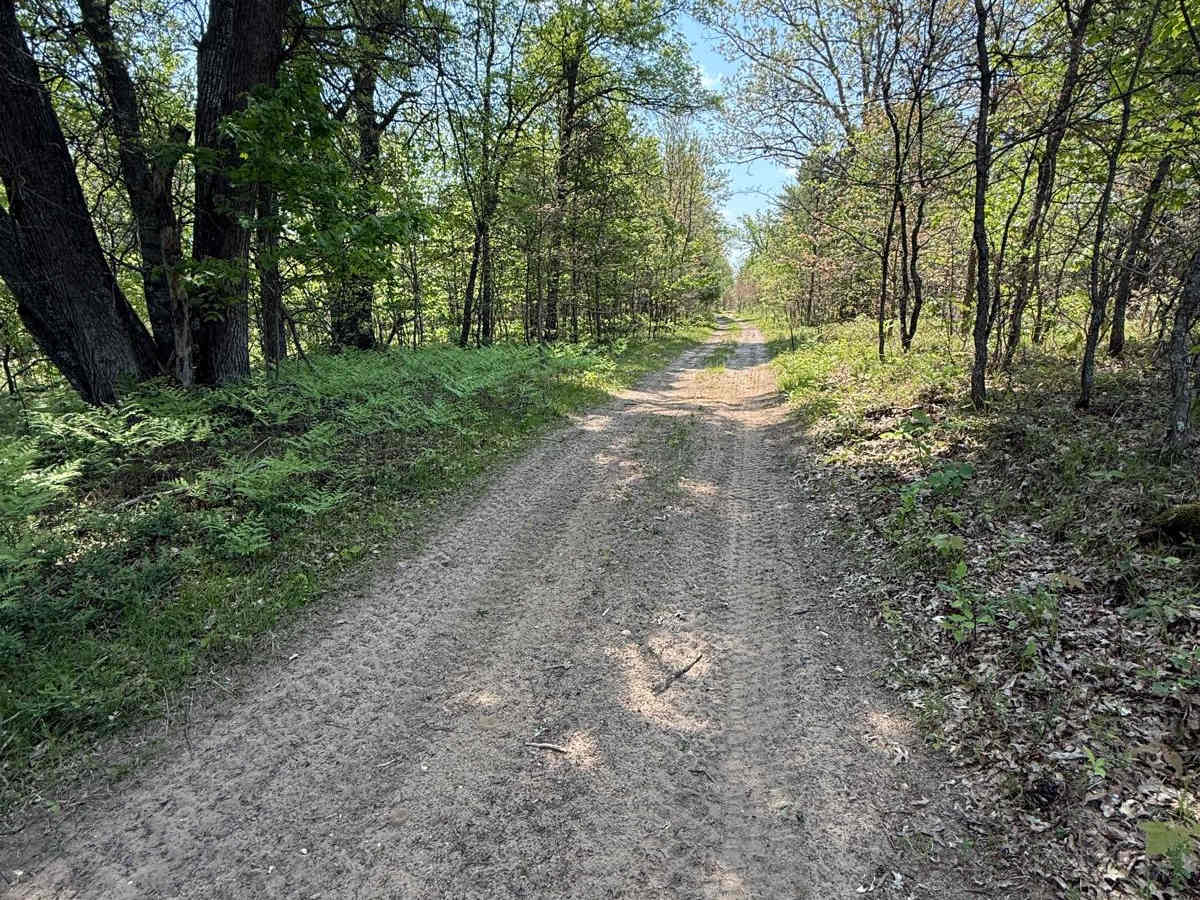 MCCCT Connector Trail photo 5