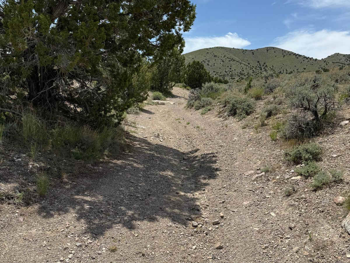 Davis Mountain Pass photo 4